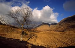 Glen Etive - early winter