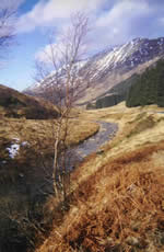 River Shiel