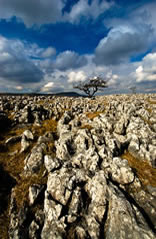 Ingleborough and limestone pavement